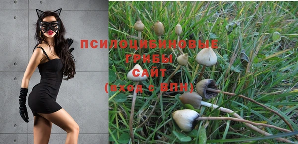 синтетический гашиш Кодинск