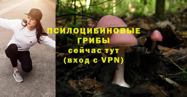 а пвп мука Козельск