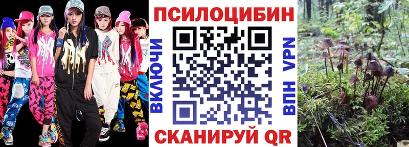 Псилоцибиновые грибы Cubensis  Купить  Верхнеуральск 